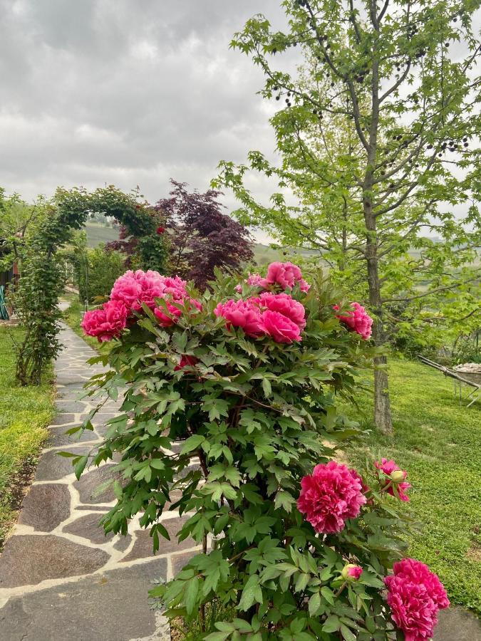 Delle Rose 3* Barolo