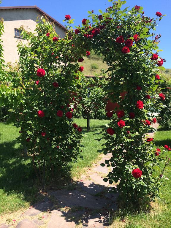 Delle Rose Affittacamere