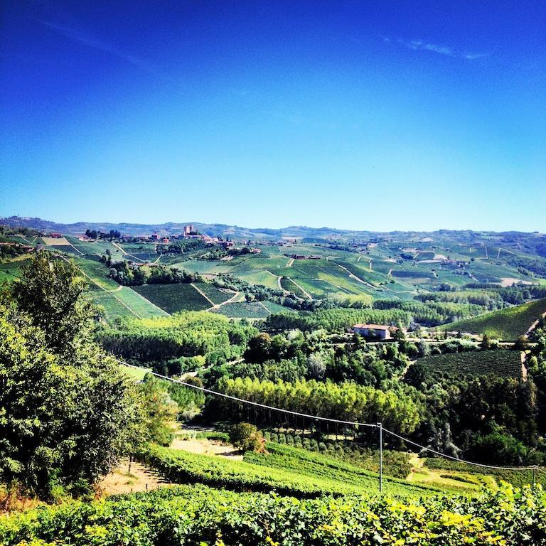 Delle Rose 3* Barolo