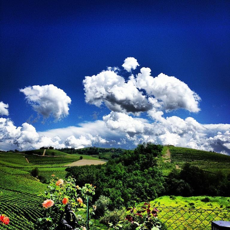 Delle Rose Gasthuis Barolo